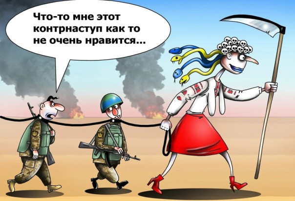 "Мыздобулы" в картинках. Смешных и не очень...20.10.2024