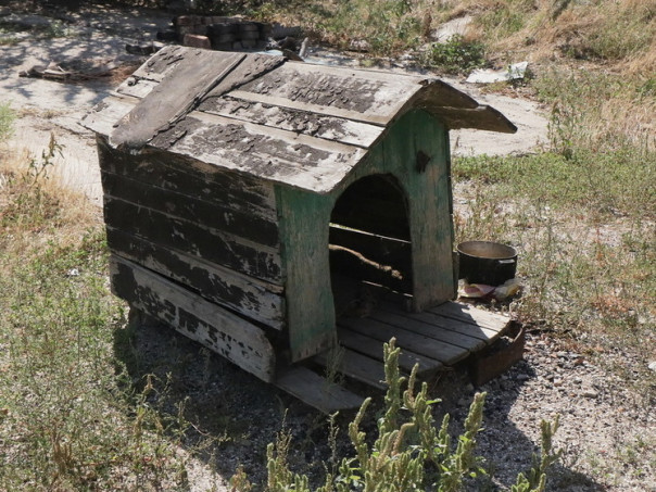 Россиянам начали предлагать дома для квадроберов