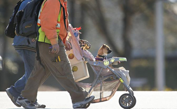 Чайлдфри: Штраф за пропаганду &mdash; 5 млн, за дурной совет беременной &mdash; 400 тысяч. И как это скажется на рождаемости?