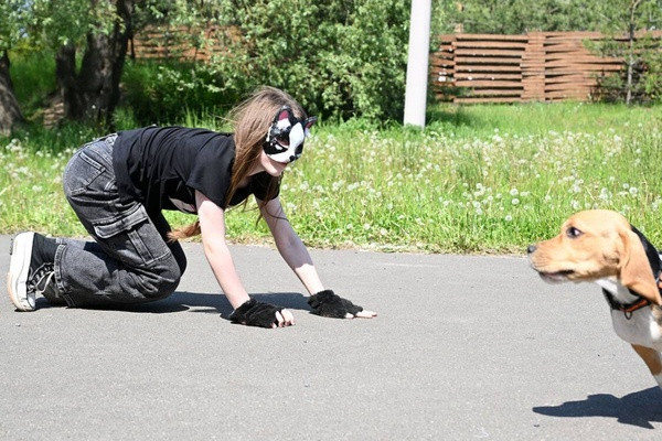 Квадроберы, чайлдфри и хоббихорсеры вместо людей