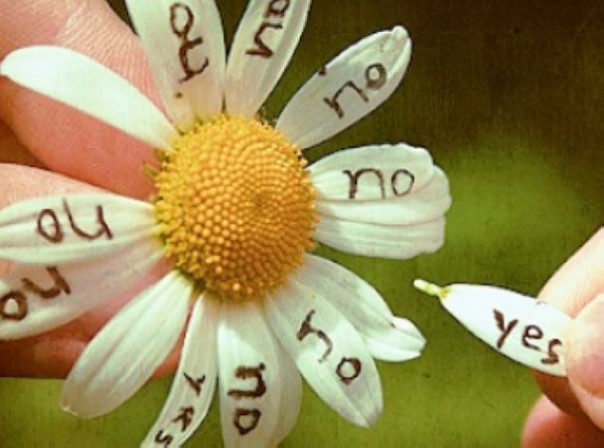 Любит - не любит. Разрешит - не разрешит. Даст - не даст