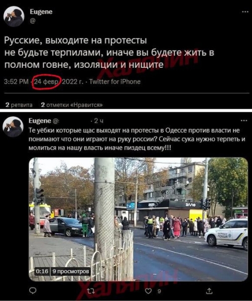 "Мыздобулы" в картинках. Смешных и не очень...09.11.2024