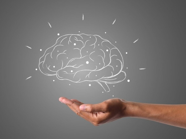 Уже сотни заболевших: в Канаде распространяется новая болезнь мозга