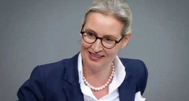 &laquo;Альтернатива для Германии&raquo; нашла нетрадиционную замену Шольцу