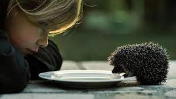 Добро и Зло. Созидание и разрушение. Александр Роджерс