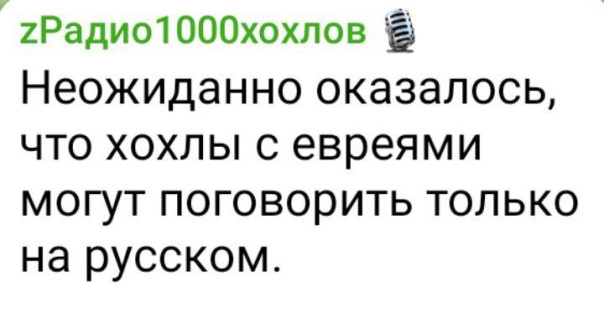 "Мыздобулы" в картинках. Смешных и не очень...31.12.2024