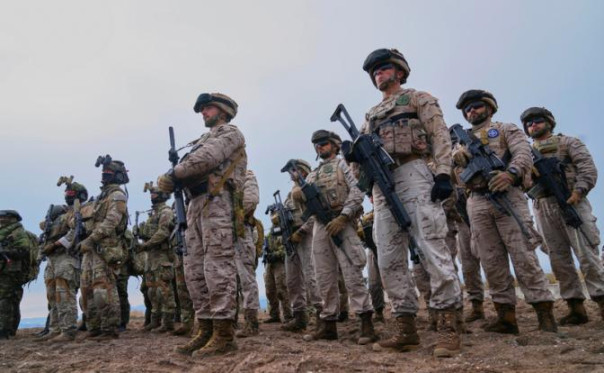 Ввод войск: Берлин, Париж и Лондон согласовали раздел Украины под видом &laquo;мирного урегулирования&raquo;