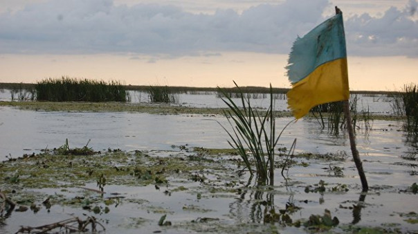 Крысы уже готовятся бежать с тонущего корабля под названием &laquo;Украина&raquo;