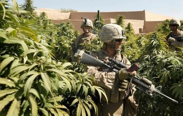 Наркомания в рядах НАТО?