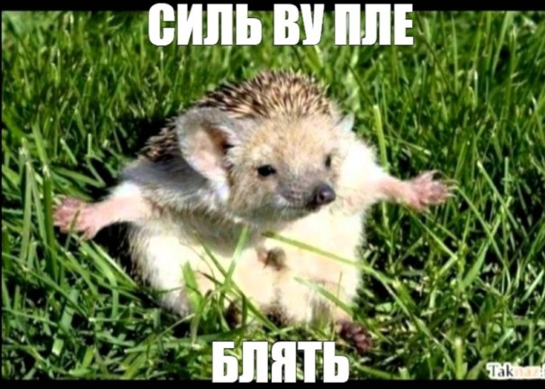 Для дурака мир полон внезапных чудес. Александр Роджерс