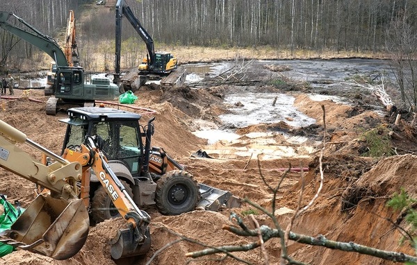 Либо перепьются, либо в болоте утонут