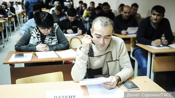 Мигрантов предложили фильтровать через ЕГЭ