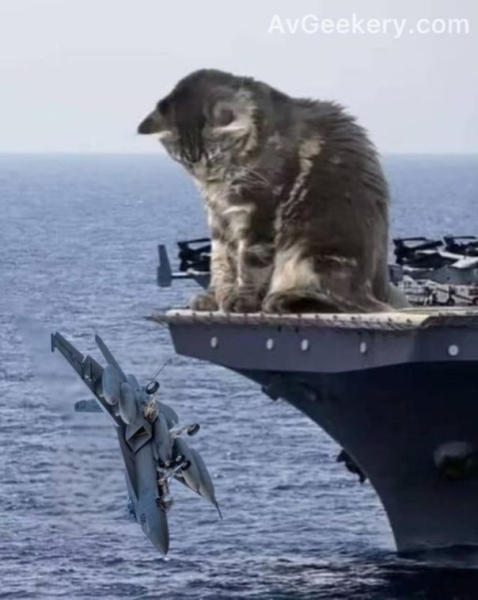 Невидимое величие. Александр Роджерс