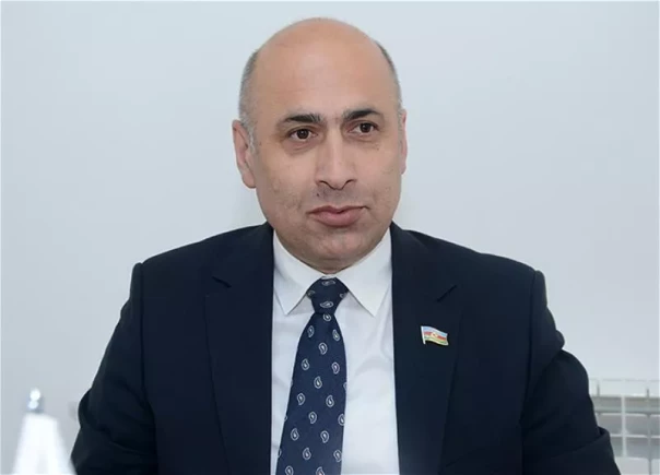 Азербайджанскому депутату не позволили въехать в Россию и выдворили