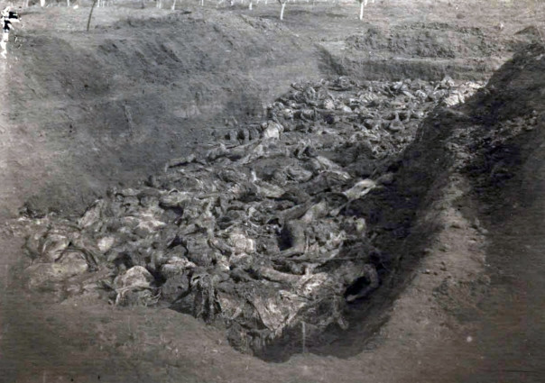 ФСБ рассекретила документы об ущербе Донбассу от немецко-фашистских захватчиков 18+