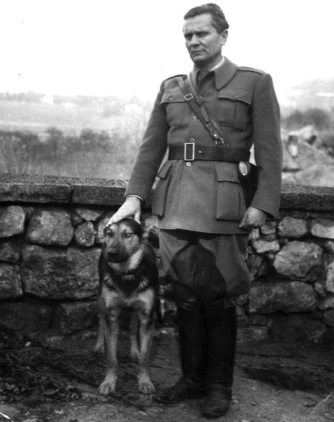 Югославия времён &laquo;железного Иосипа&raquo;