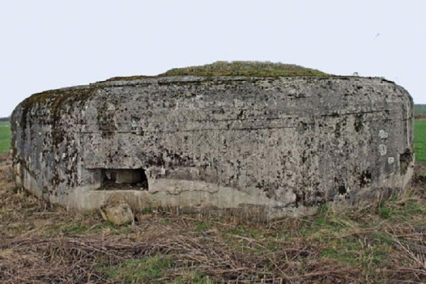 Как храбро и умело сражался Гитлер… за страну Советов!