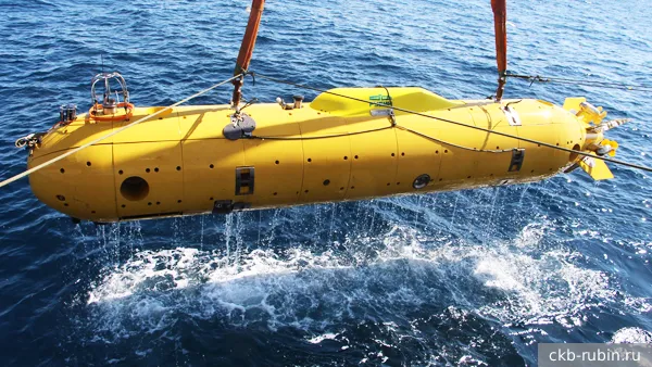 Какие морские беспилотники нужны ВМФ России прежде всего