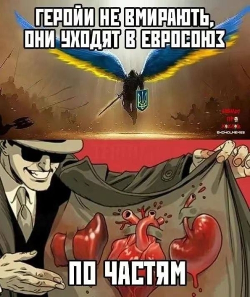 "Мыздобулы" в картинках. Смешных и не очень...18.05.2025