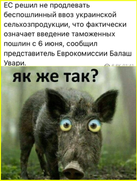 "Мыздобулы" в картинках. Смешных и не очень...25.05.2025