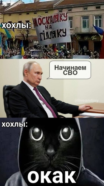 "Мыздобулы" в картинках. Смешных и не очень...25.05.2025