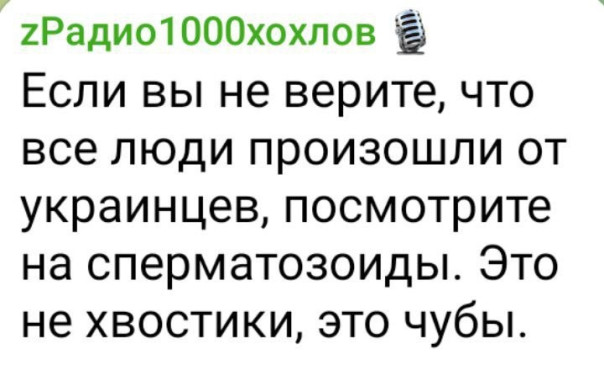 "Мыздобулы" в картинках. Смешных и не очень...25.05.2025