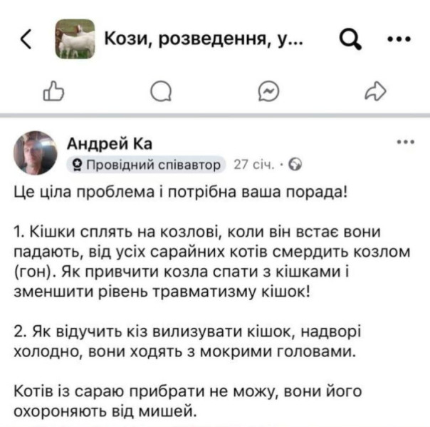 "Мыздобулы" в картинках. Смешных и не очень...25.05.2025