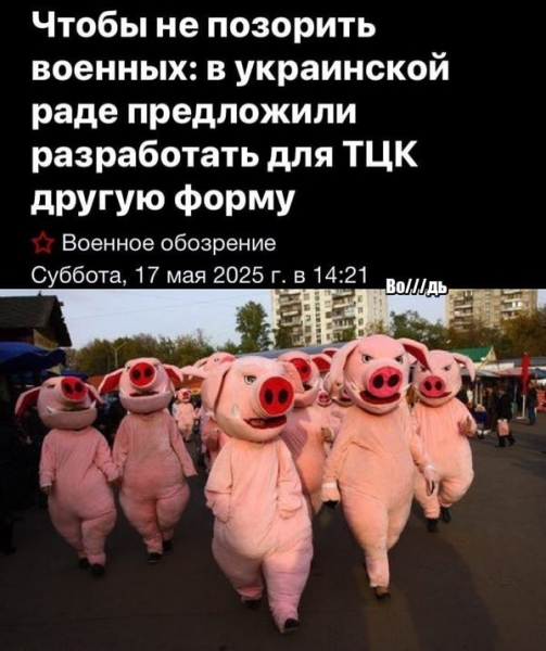 "Мыздобулы" в картинках. Смешных и не очень...25.05.2025