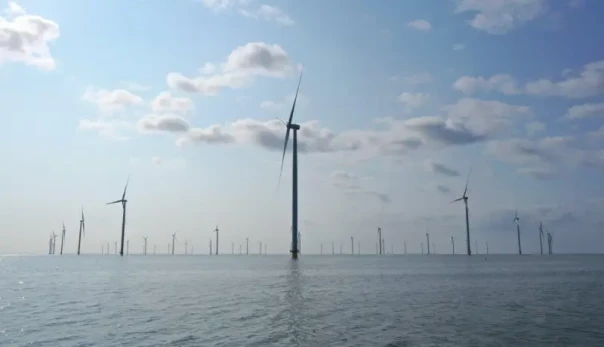 Нидерланды обвиняют Бельгию в &laquo;краже&raquo; ветра