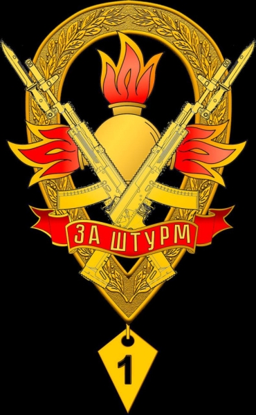 Первые знаки &laquo;За штурм&raquo; вручены в ВС РФ