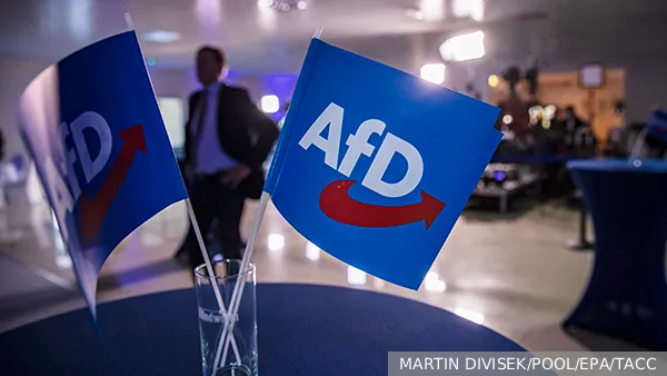 Запрет АдГ в Германии изменит Европу до неузнаваемости
