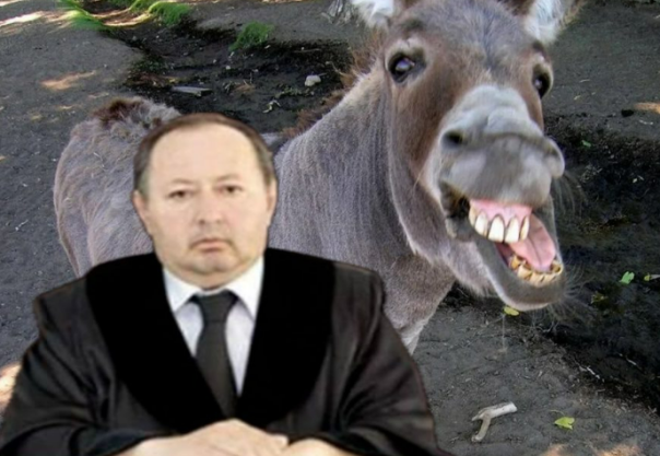 Азербайджанский судья погиб при попытке изнасиловать осла