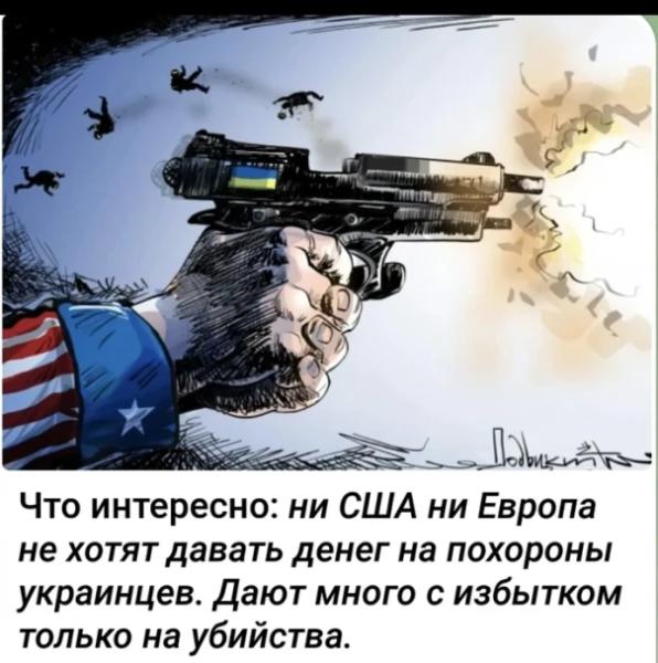 "Мыздобулы" в картинках. Смешных и не очень...13.06.2025