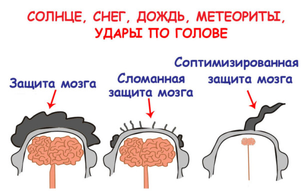 "Мыздобулы" в картинках. Смешных и не очень...13.06.2025