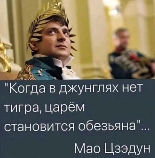 "Мыздобулы" в картинках. Смешных и не очень...13.06.2025