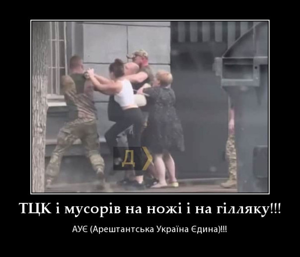 "Мыздобулы" в картинках. Смешных и не очень...13.06.2025