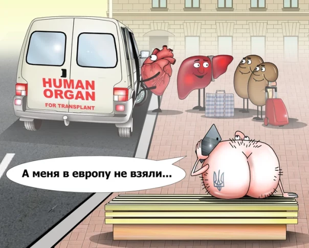 "Мыздобулы" в картинках. Смешных и не очень...13.06.2025