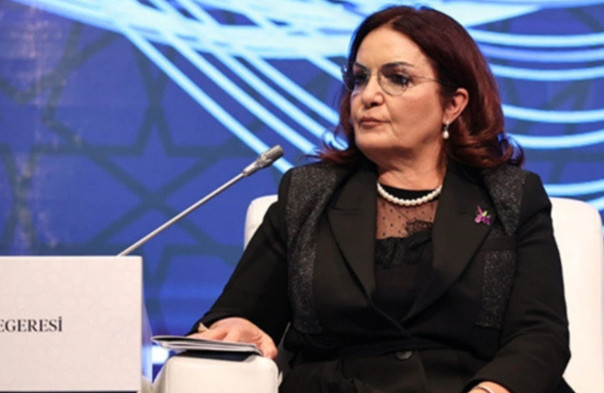 В игру вступили турки: Глава Фонда дружбы Турция &mdash; Азербайджан призвала к протестам в России