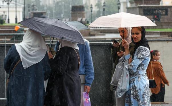 Деньги, связи, криминал: Власть сама допустила вседозволенность диаспор