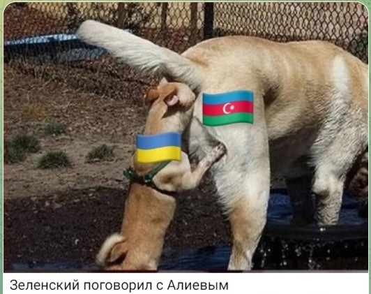 "Мыздобулы" в картинках. Смешных и не очень...05.07.2025