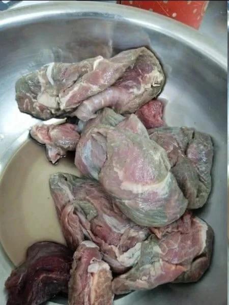 В Орле нелегалы делали шаурму из кошек и собак