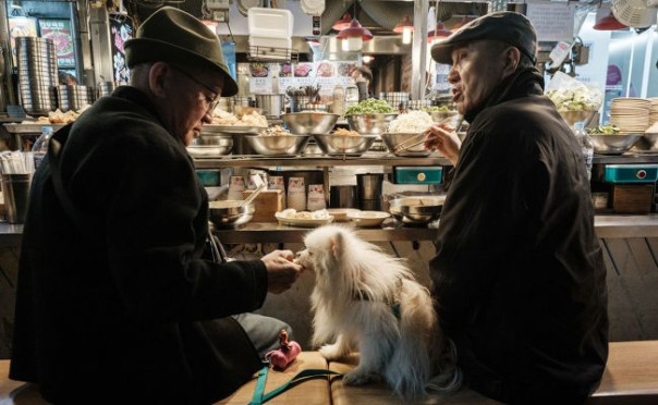 Возят в колясках вместо детей: почему в Южной Корее перестали есть собак?