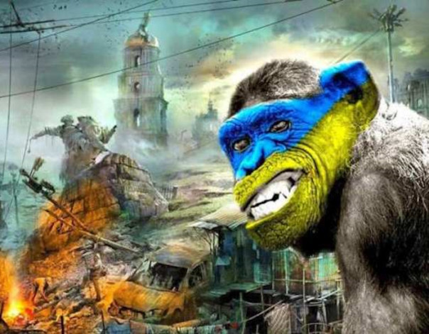 &laquo;Квест не пройден&raquo;: военкомы VS калитка!