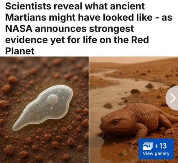 На Марсе найдены следы древней жизни &mdash; NASA