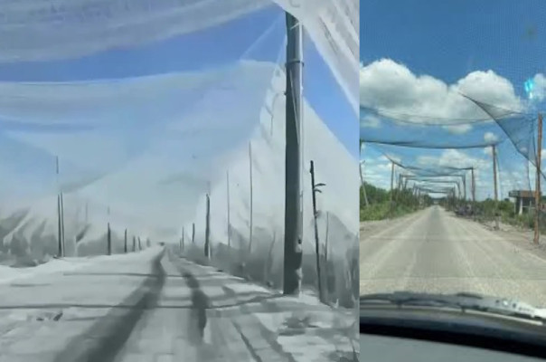 Прогрызая противодроновые тоннели: специальные боевые части и приспособления для FPV-дронов