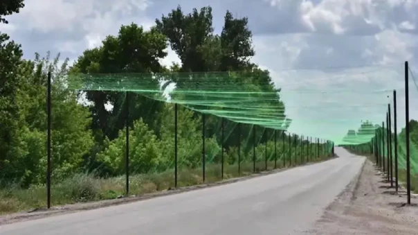 Прогрызая противодроновые тоннели: специальные боевые части и приспособления для FPV-дронов