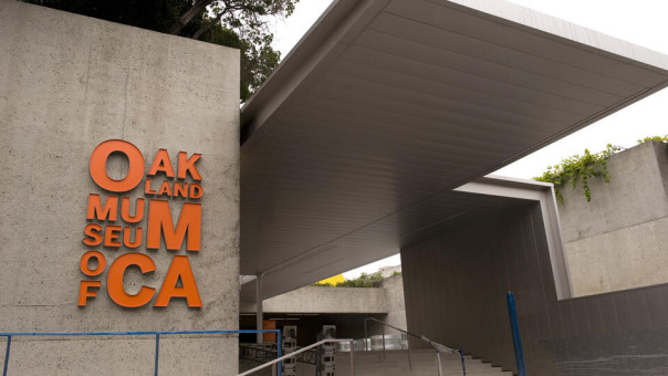 Более тысячи артефактов были украдены из музея Калифорнии