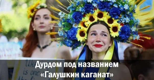 Дурдом под названием &laquo;Галушкин каганат&raquo;. Анатолий Урсида