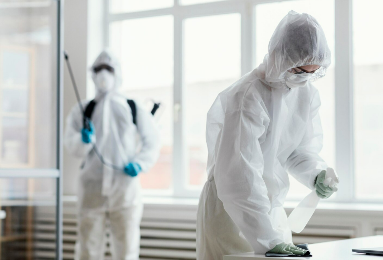 Дезинсекция: что это и зачем она нужна?