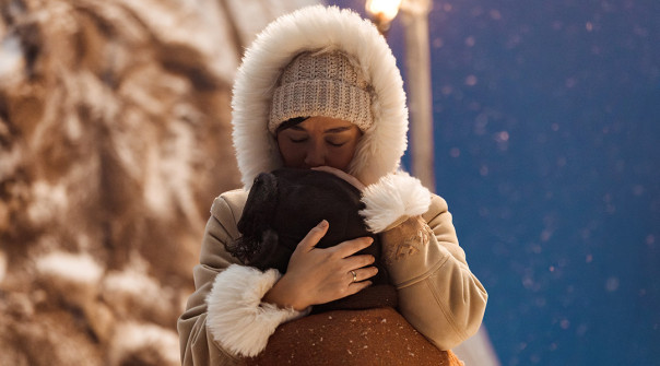 Славные герои: &laquo;Союзмультфильм&raquo; выпустит продолжение &laquo;Умки&raquo;, &laquo;Ну, погоди!&raquo; и &laquo;Простоквашино&raquo;